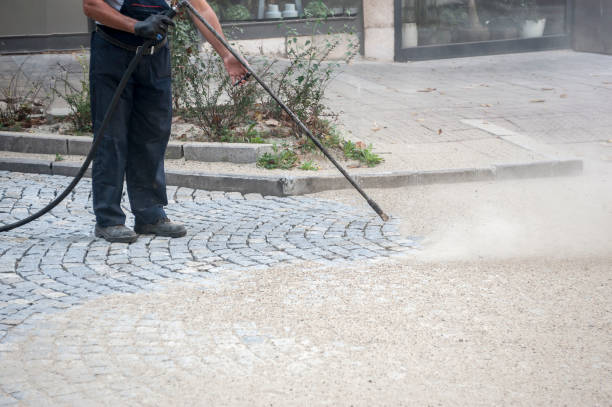 Best Pre-Holiday Cleaning  in Socorro, TX