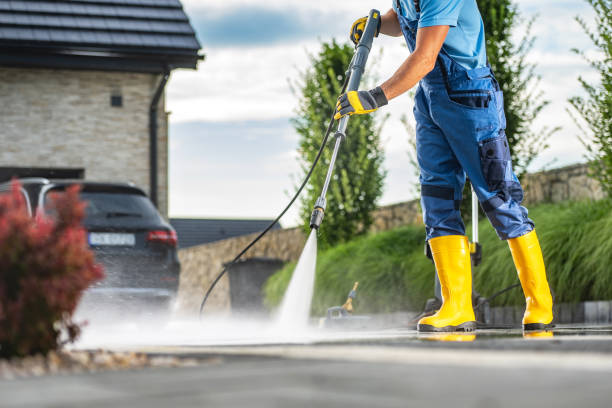 Best Fence Cleaning  in Socorro, TX